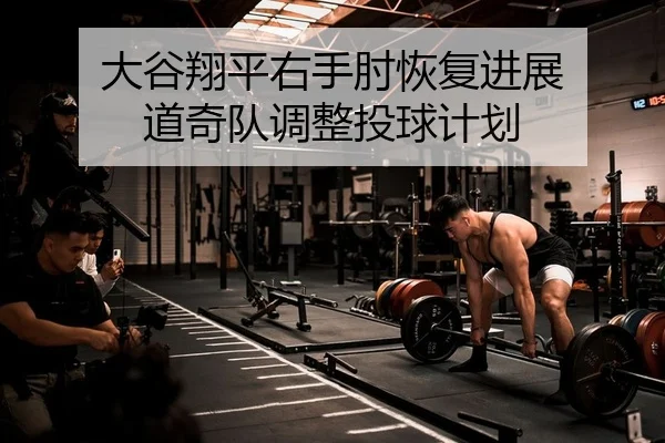 da-gu-xiang-ping-you-shou-zhou-hui-fu-jin-zhan-dao-qi-dui-tiao-zheng-tou-qiu-ji-hua-2-484.jpg
