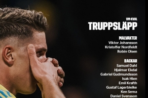 开云线上入口-瑞典国家队名单：约克雷斯、伊萨克领衔，伊兰加、贝里瓦尔入选